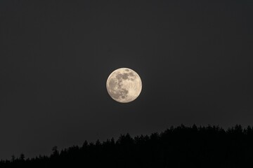 Fototapeta na wymiar full moon setting over the hills in the dark sky above the trees