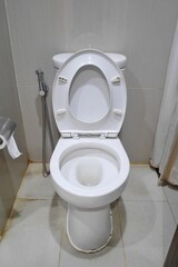 Toilet seat is in the open position. The bathroom is narrow and equipped with tissue on the wall.