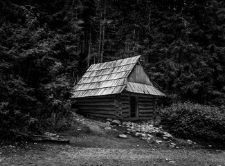 Wooden hut isolated in a forest, in grayscale