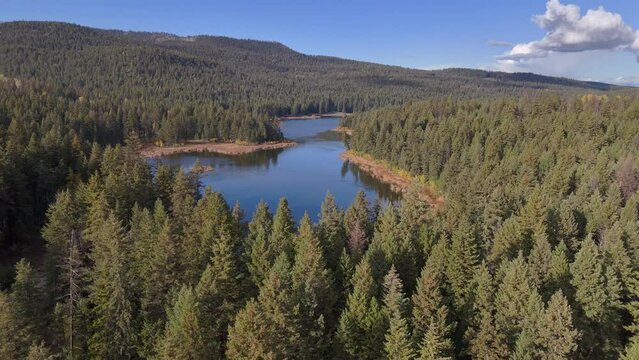 Scenic Aerial Views of Enchanted McQueen Lake in British Columbia: An Untouched Spruce Forest Surrounding the Serene Waters