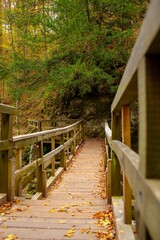 Obraz premium a wooden footbridge crossing over a river into the woods