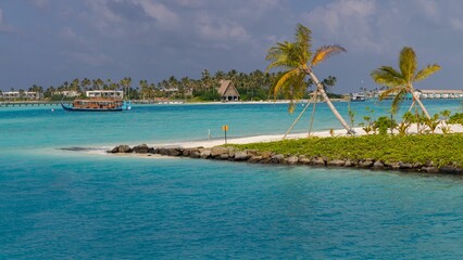 Tropical island featuring several palm trees on the sandy beach in the foreground