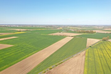 Obraz premium Aerial view of a rural landscape with cultivated fields, crop lines, and other farmland
