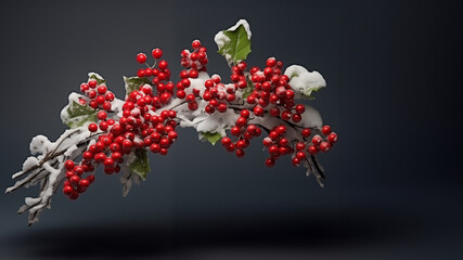 snowy branch with red berries