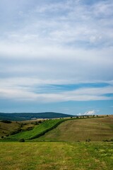 Fototapeta na wymiar Vertical shot of a lush green field under the blue sky