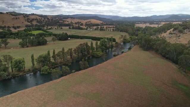 Near the Goulburn River with farm paddocks and hills in the background near Eildon, Victoria, Australia