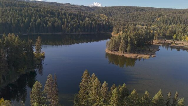 Above McQueen Lake: A Captivating Aerial Glimpse of Nature's Beauty with a Spruce Forest Embrace in British Columbia