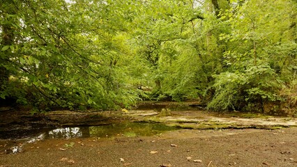 A picture of the trees at the ford in Kirkdale, Kirkbymoorside