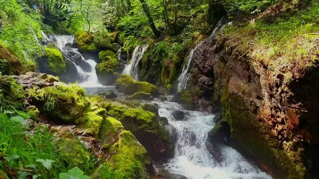 tripod video of a river flowing over mossy rocks in a hot and humid forest on the outskirts of albania.