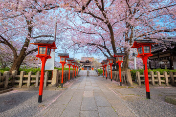 Fototapeta na wymiar Kyoto, Japan - March 31 2023: Rokusonno shrine built in 963, enshrines MInamota no Tsunemoto the 6th grandson of Emperor Seiwa. It's one of the best cherryblossom viewing spots in Kyoto