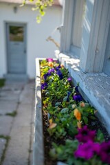 Old windowsill with colorful potted flowers