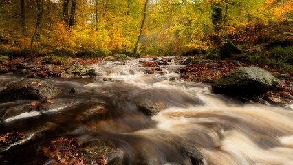 a river running through the middle of a forest in fall