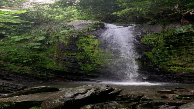 Hidden waterfall in El Yunque Rainforest on the island of Puerto Rico, the only tropical rain forest in the United States National Forest System.