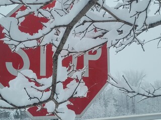 a stop sign is covered in snow under the branches of a tree