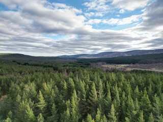 Obraz premium the view from above a forest of green trees and mountains