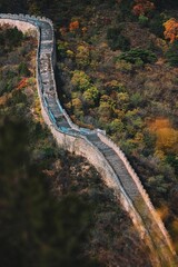 the great wall of china in the fall from above the cliff side