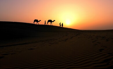 Camels and some people walking on a desert sand dune against a beautiful sunset sky, India