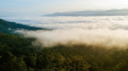 mountains are dotted with thick foggy vegetation as the sun rises