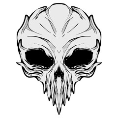 Skull Head Illustration Art