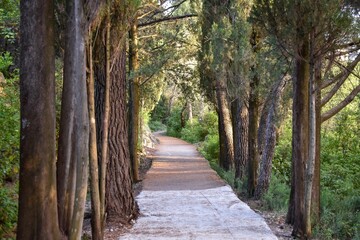 a beautiful alley in trpanj croatia