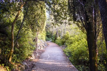Fototapeta premium a beautiful alley in trpanj croatia
