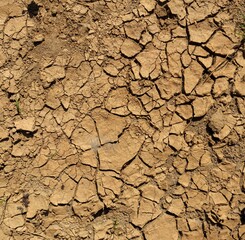 Dry Cracked Soil Texture Background