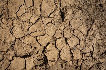 Dry Cracked Soil Texture Background