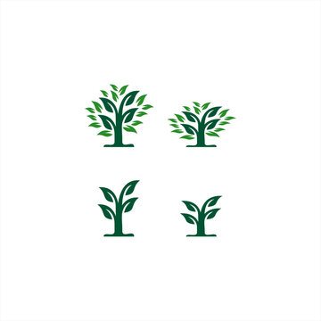 farm design, farm logo, leaf icon, farm logo design vector
