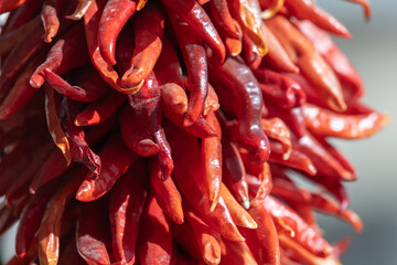 Close up detail of a red chile ristra, dried red chile peppers strung together to create a decorative display.