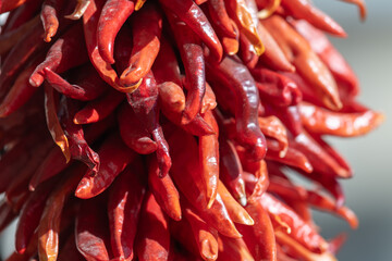Close up detail of a red chile ristra, dried red chile peppers strung together to create a...