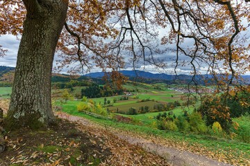 Stunning autumn landscape of Sexau in Germany's Black Forest with lush trees and grass