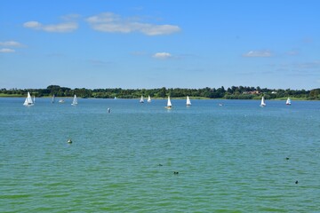 Fototapeta na wymiar Fleet of sailboats are seen cruising across the tranquil waters of a lake on a bright, sunny day