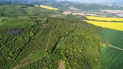 Aerial view of a large farm with cultivated land and crops