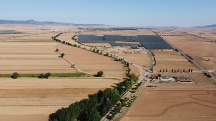 an aerial view of a farm, with many plants and land