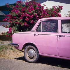 Pink car and tree next to house