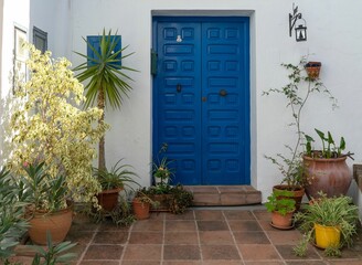 Antique wooden door of blue color in background or white wall with pots and flowers different.