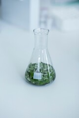 Laboratory glass jar filled with liquid and green leaves, isolated on a white background
