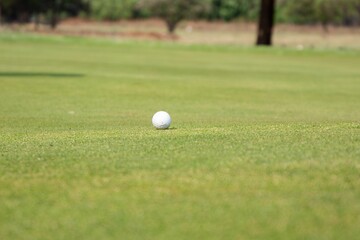 Closeup of a golf ball resting on a lush green grass