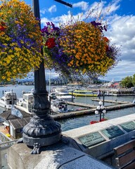 Scenic view of flowers in Butchart Gardens, British Columbia.