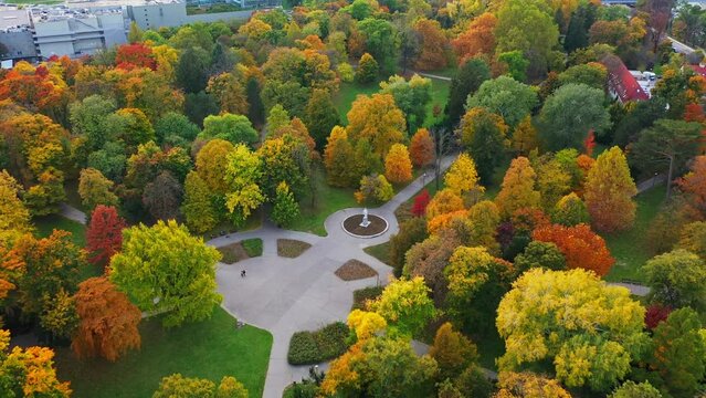 Colourful park in the city with statue and small square. Leafs of the trees with unique colours.