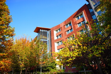 Fototapeta na wymiar University of Pennsylvania Fall colorful foliage autumn landscape