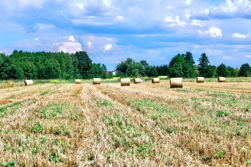 Agricultural field with straw bales on a sunny summer day, Poland.
