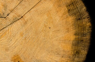 Fototapeta premium Close-up shot of a fantastically beautiful old piece of wood, sawn with care