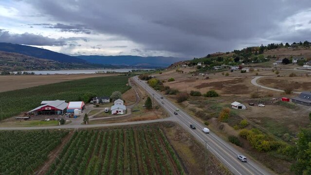 From Above in British Columbia Okanagan: Apple Tree Rows Stretching as Far as the Eye Can See