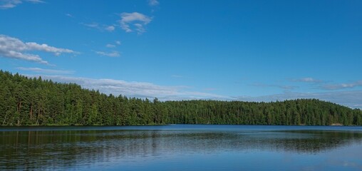 Fototapeta premium Beautiful view of a calm lake surrounded by green trees