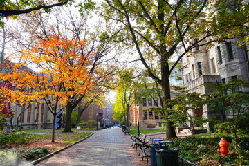 University of Pennsylvania Fall colorful foliage autumn landscape	