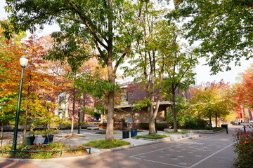 University of Pennsylvania Fall colorful foliage autumn landscape