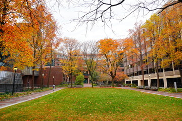 University of Pennsylvania Fall colorful foliage autumn landscape