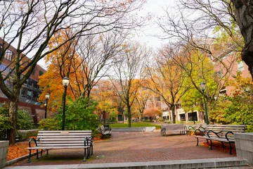 Rollo University of Pennsylvania Fall colorful foliage autumn landscape © Feng
