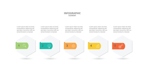 Infographic template vector 